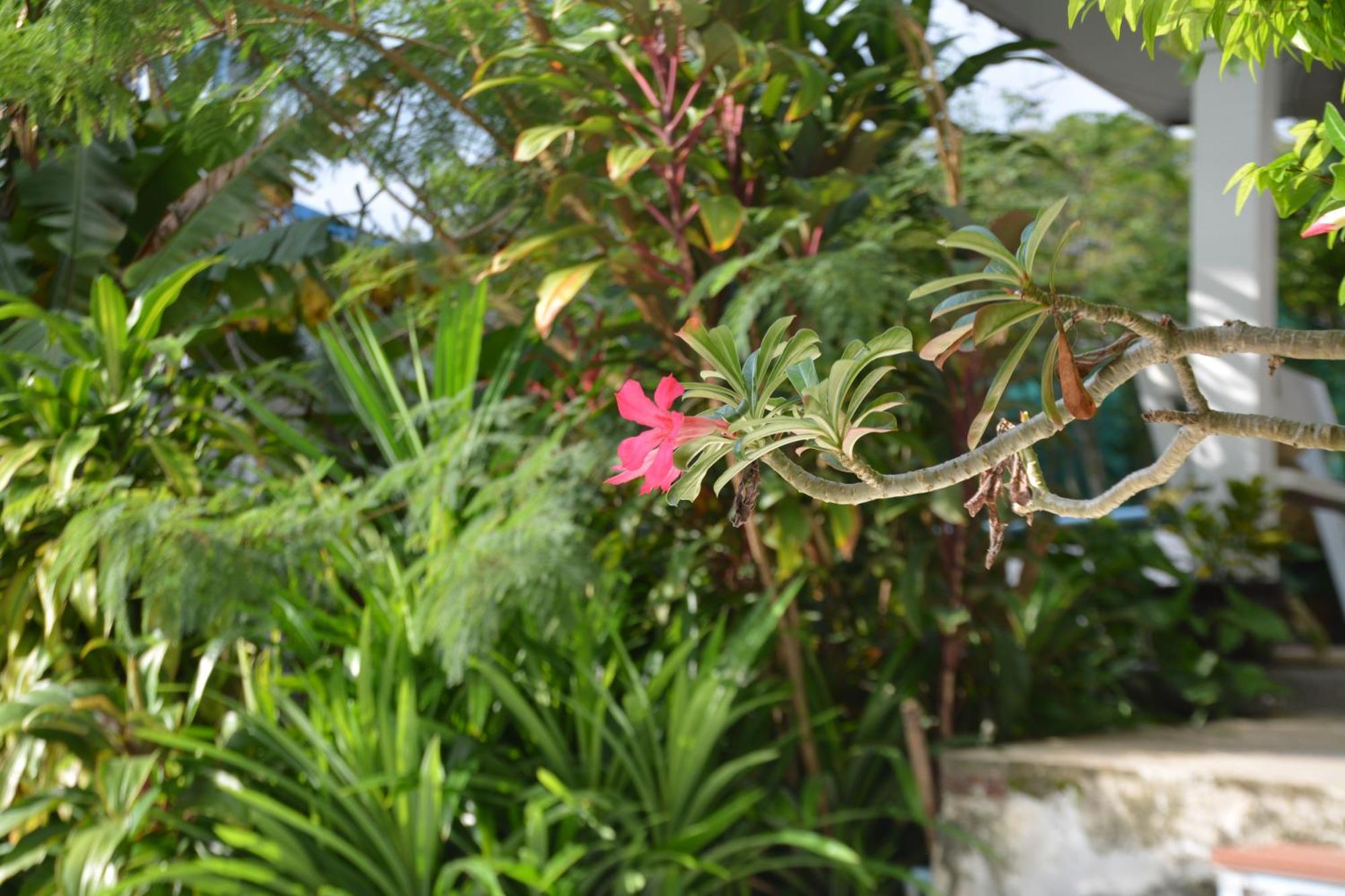 Patong一生所爱公寓 外观 照片